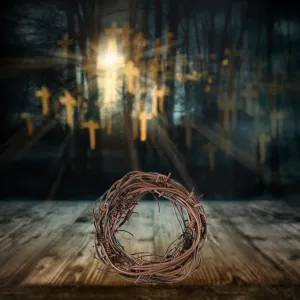 100' Rusted Barb Wire Decoration