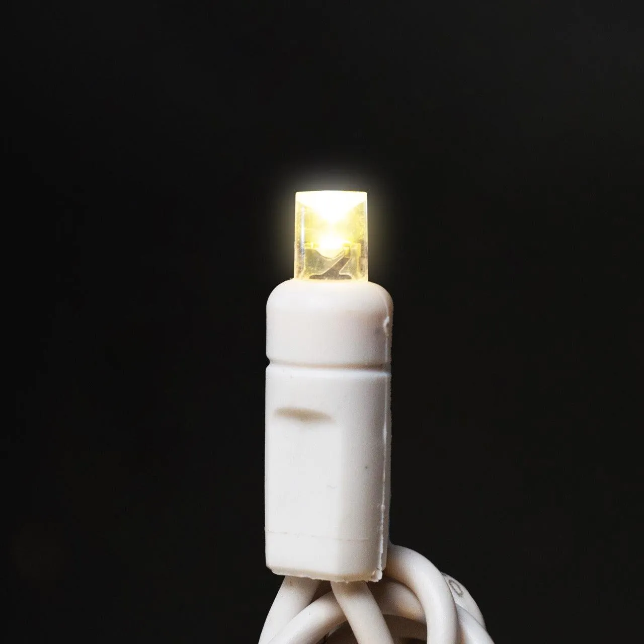5mm Light Set 50ct Balled-6" Spacing (Warm White) (WW)