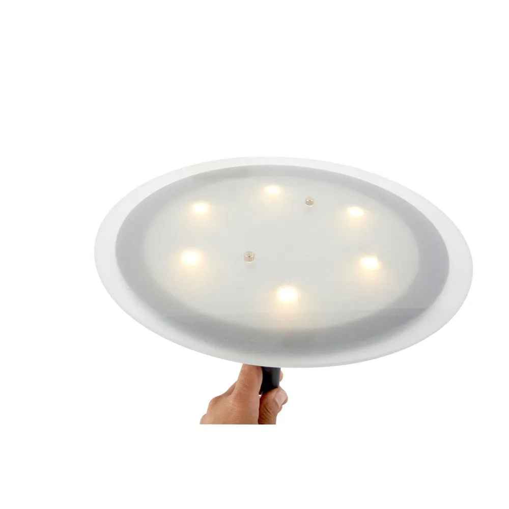 Leipzig LED Torchiere in Museum Black