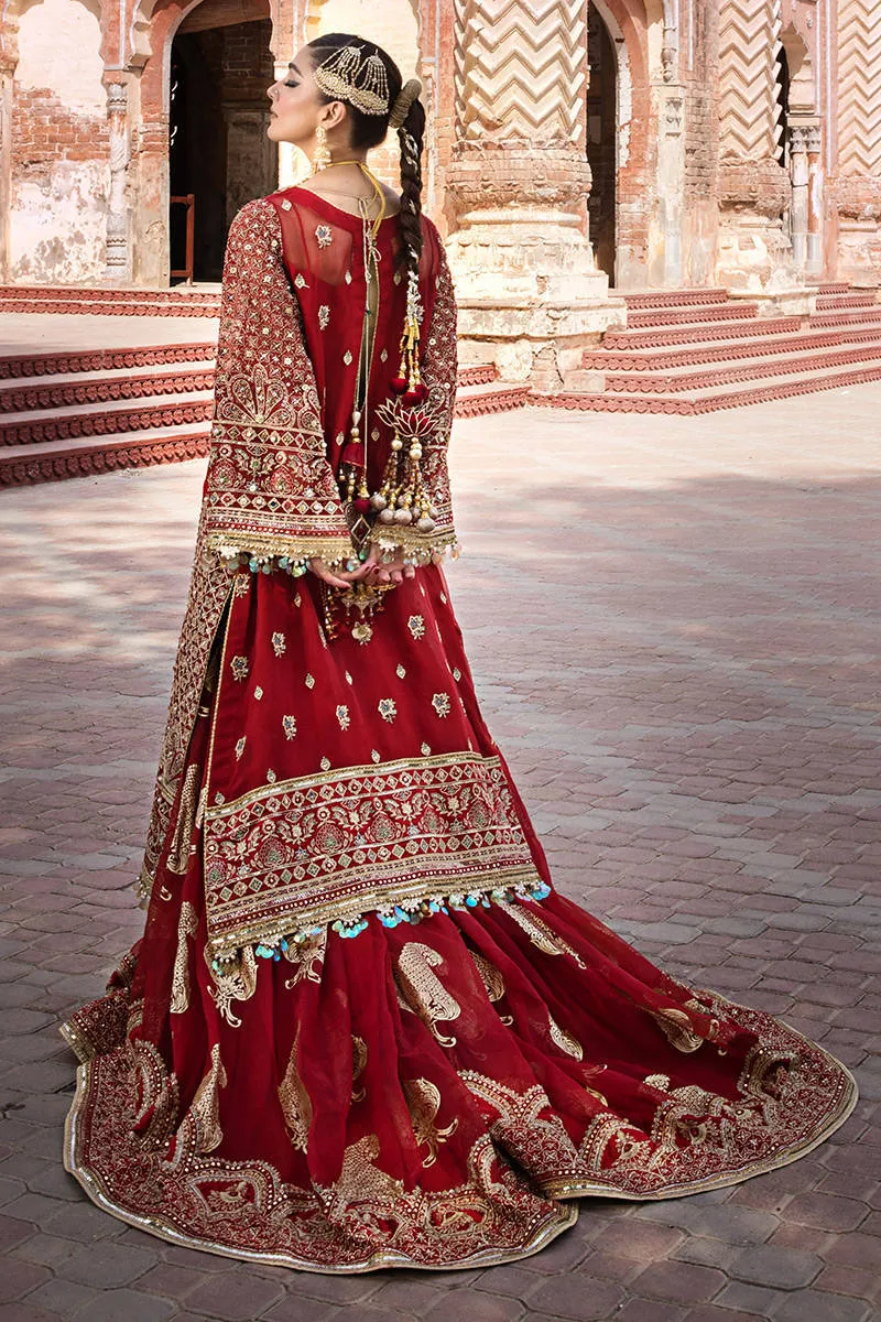 Mohsin Naveed Ranjha Zarlish Wedding Formals - BIYA BEGUM